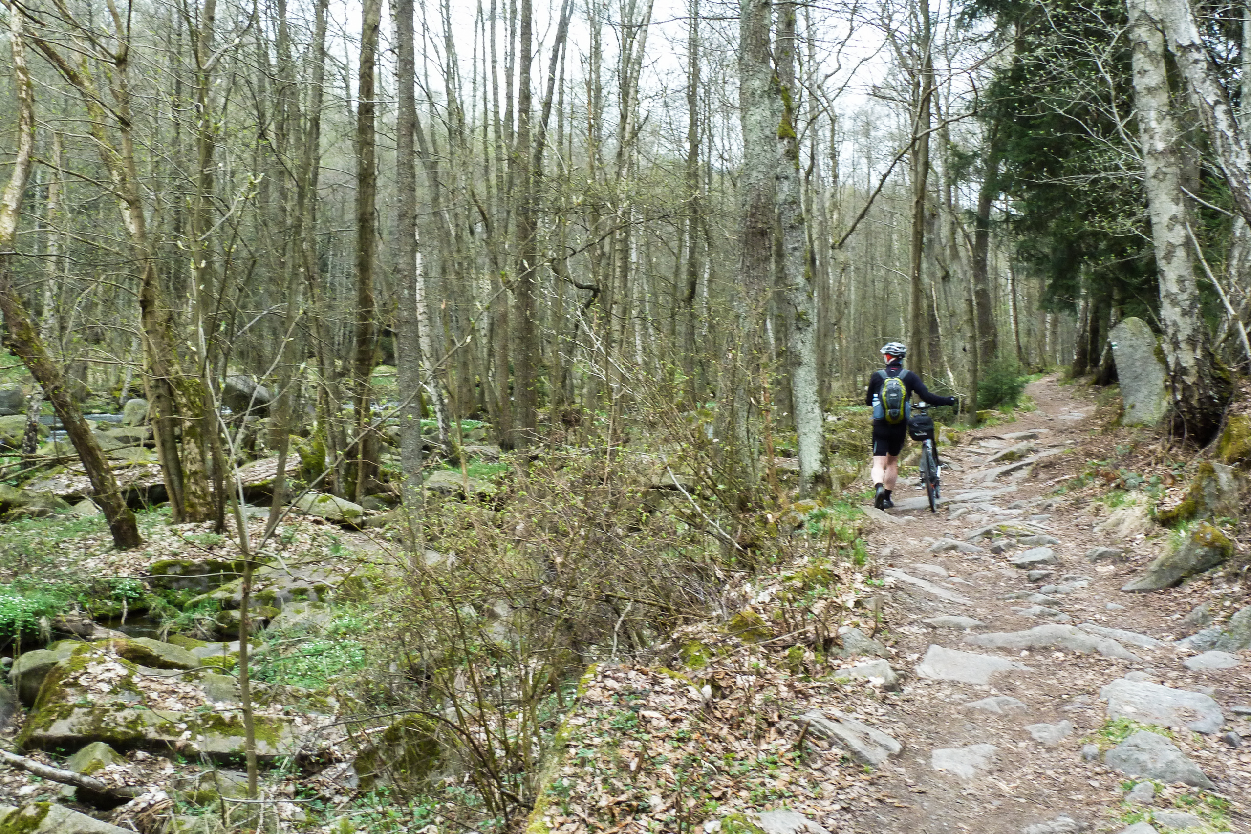 Ruppiger Radweg an der Moldau